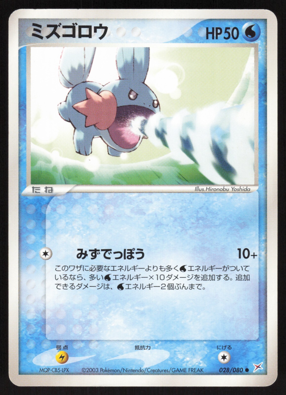 Pokémon Japanese Mudkip 028/080 Team Magma vs. Aqua Unl. HEAVY PLAY
