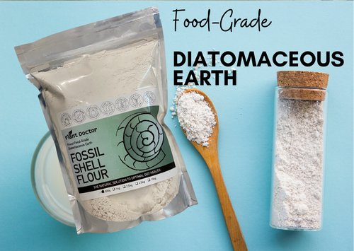 Diatomaceous Earth Food Grade Fossil Shell Flour 800g Perma-Guard Organic Pure. - Picture 6 of 12