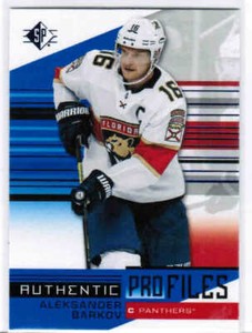 hockey authentic ebay