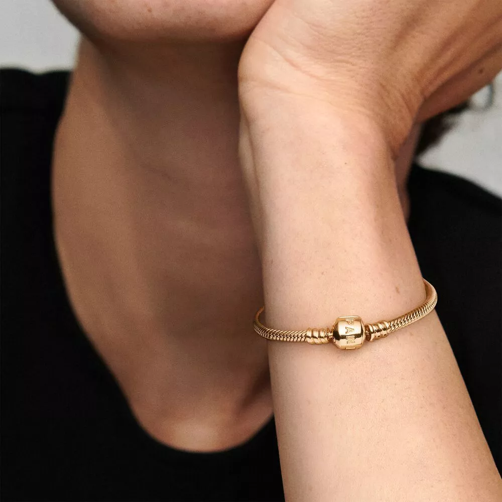 Pandora Charm Bracelet 14k Yellow Gold 100 Authentic Box Pan Receipt SOLD OUT