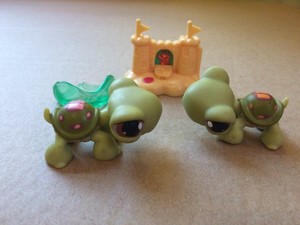 two turtles pet shop
