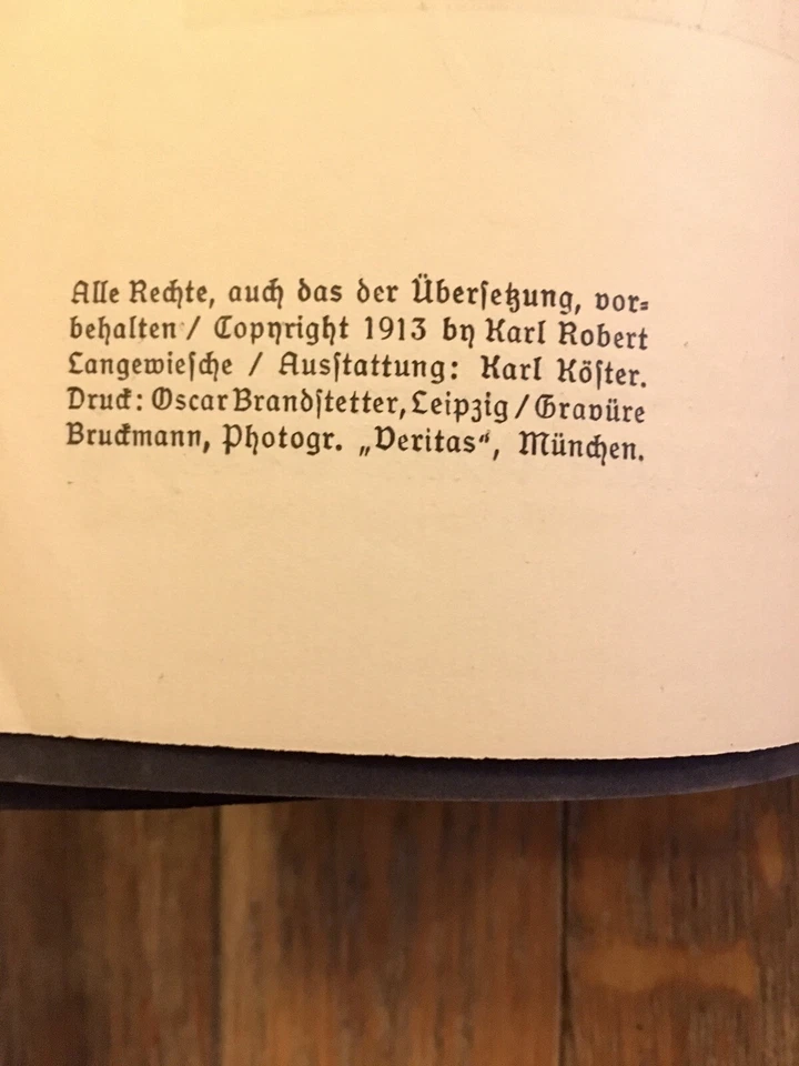 Friedrich Naumann The Blue Book of the Fatherland: German Language 1913 Pre-War Foto 4 de 4