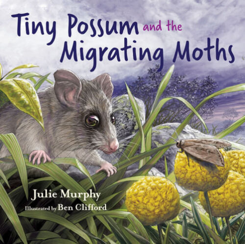 NEW Tiny Possum and the Migrating Moths By Julie Murphy Hardcover Free Shipping - Picture 1 of 3