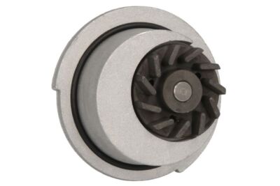 INA Wasserpumpe 538 0012 10 für CHEVROLET AVEO/KALOS; DAEWOO CIELO/LANOS; OPEL