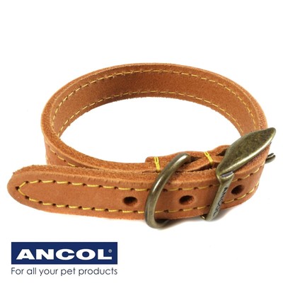 flat buckle collar