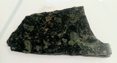 Kambaba Jasper Slab For Cab