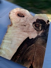 XL ALUCINANTE Madera de Arce Burl en Blanco, AMBROSIA Arce MADERA ARTESANAL