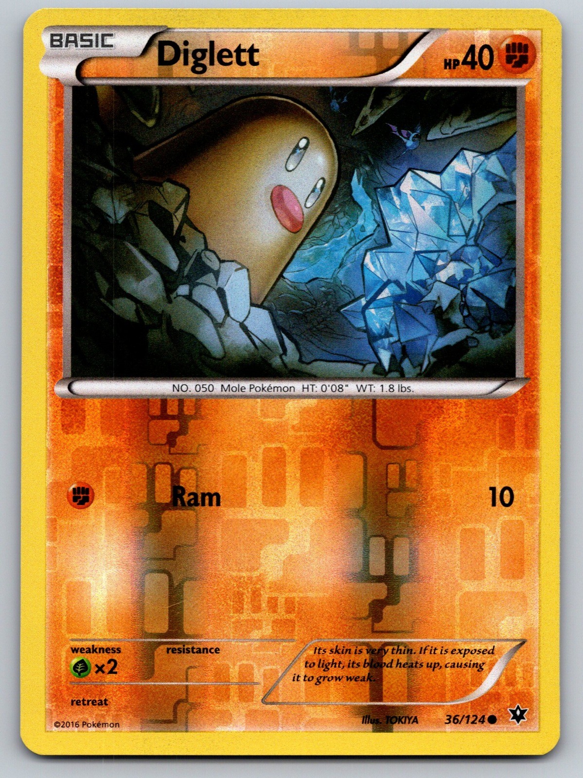 Diglett Reverse Holo Common XY - Fates Collide 36/124 NM