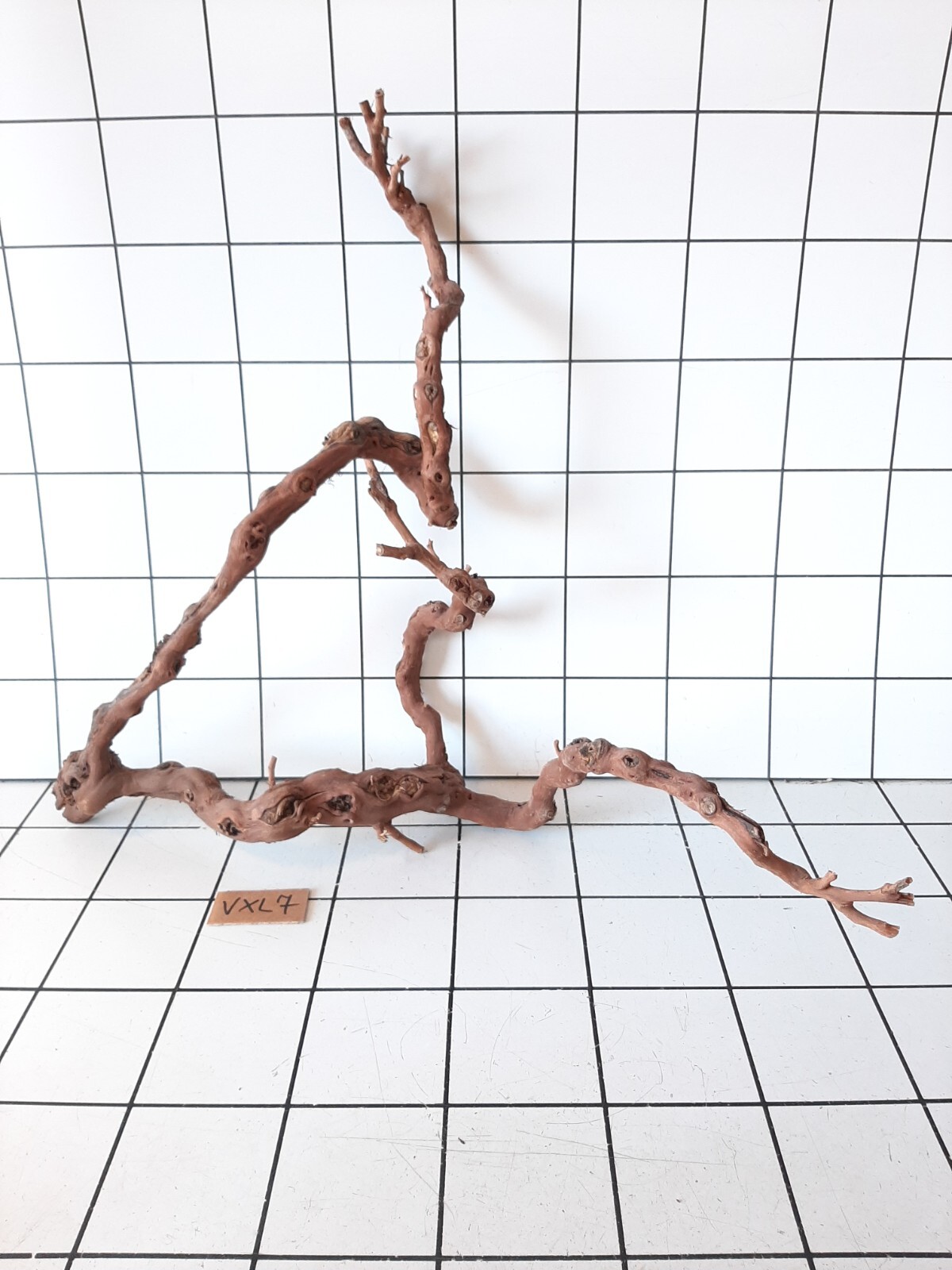 Aquarium Driftwood Fish Tank Wood VINES Size XL eBay