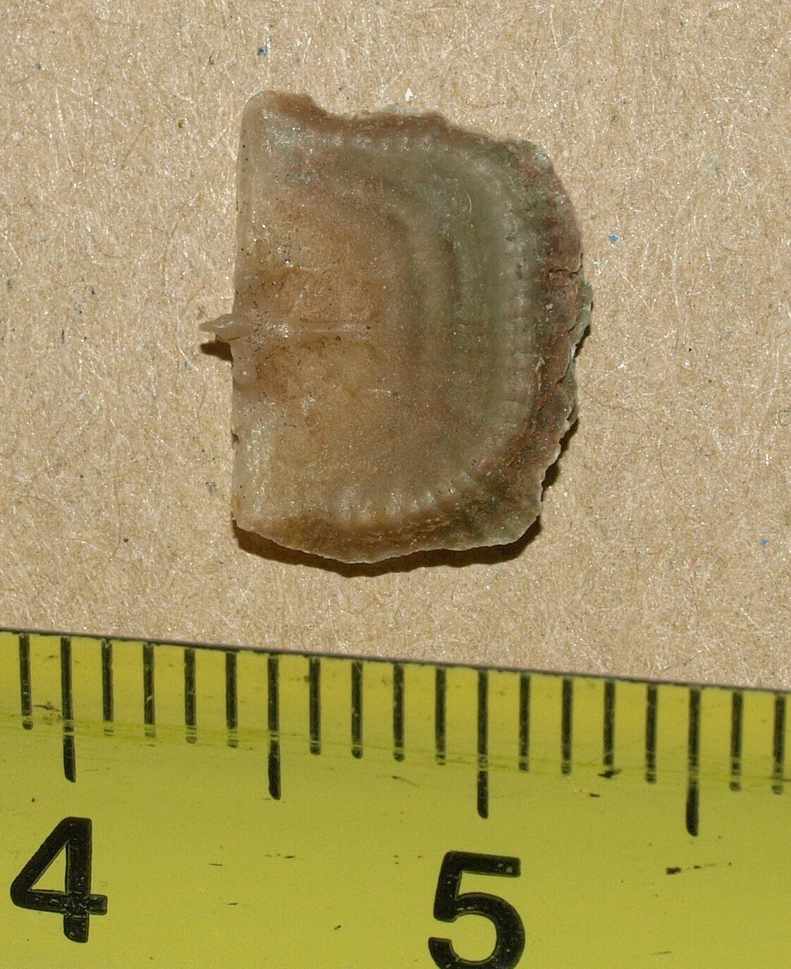 Picture 4 of 11