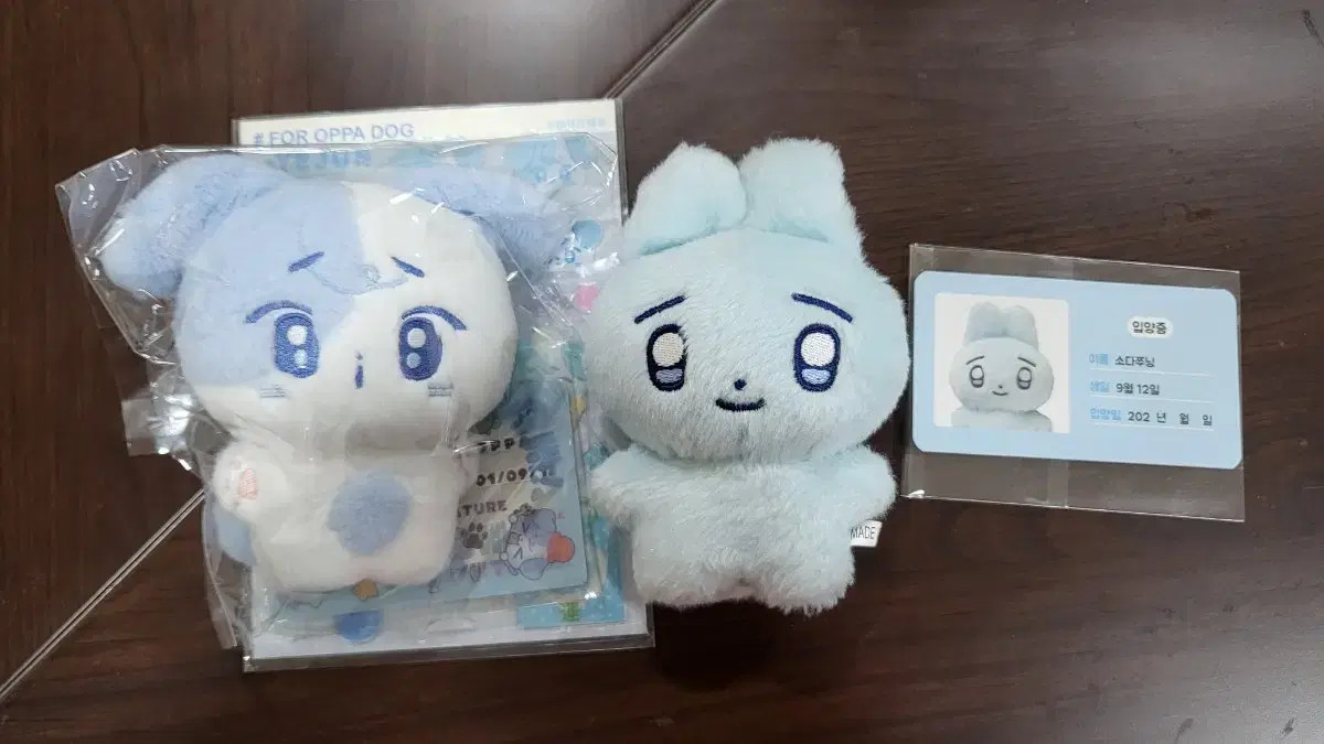 Plave 10cm ぬいぐるみ doll yejun hamin 2点セット 10cm Plave Noah Yejun Bamby Eunho Hamin Starfish Anime Plush