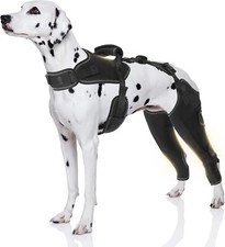 Adjustable Dog Knee Brace ACL Joint Support Wrap for Hind Leg Injury, Size L