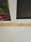 Picture 12 of 12