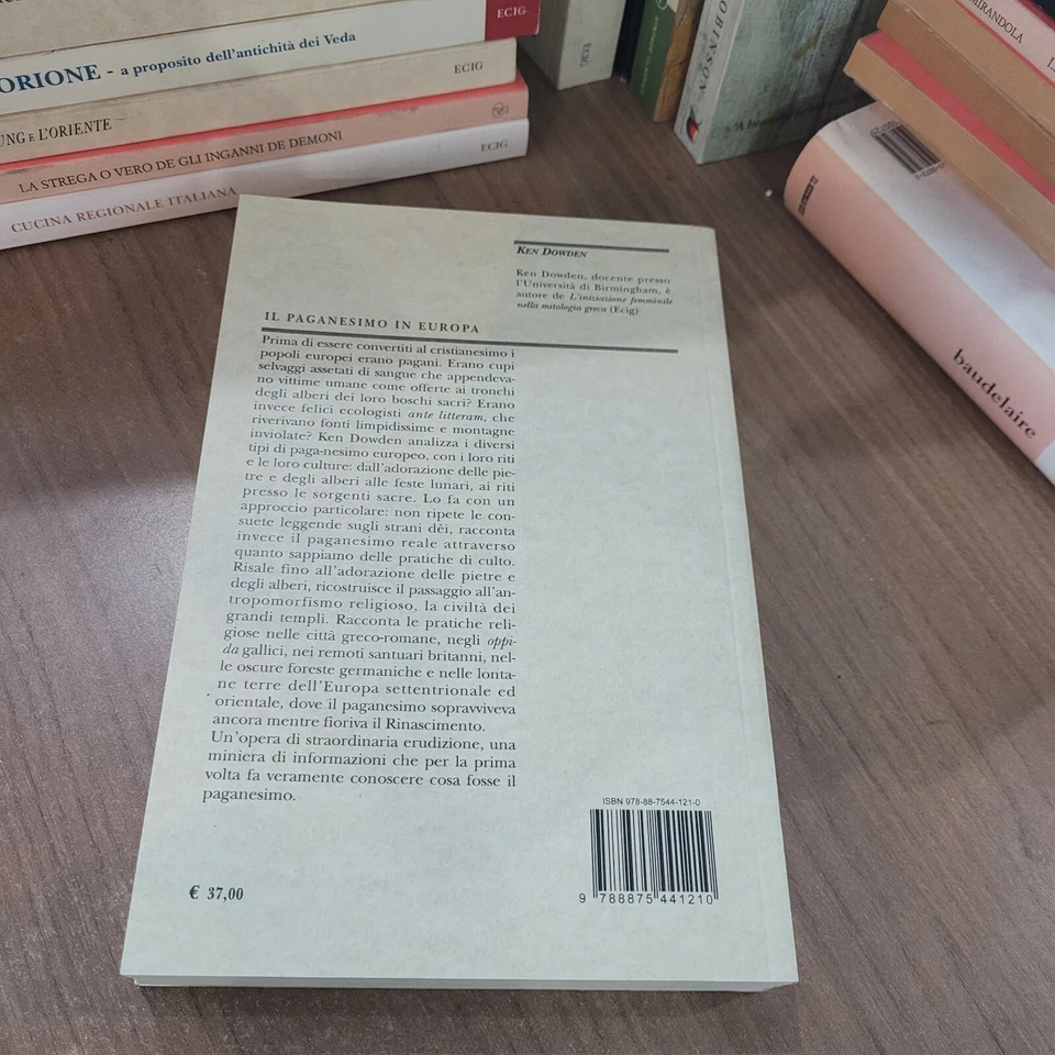 IL PAGANESIMO IN EUROPA RITI E CULTI DELL'ANTICHITA' AL MEDIOEVO RARO ECIG  - Immagine 2 di 2