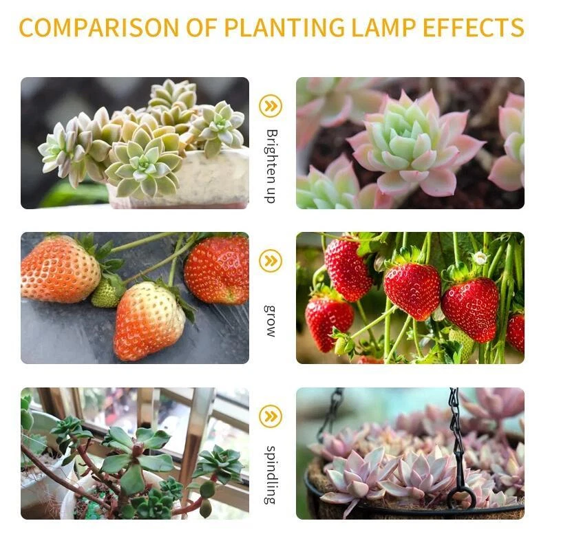 PHLIZON Spider G4500 PL2000 LED Grow Light Best for 4x4 Flowering 5x5 Veg BLOOM - Image 4 of 4