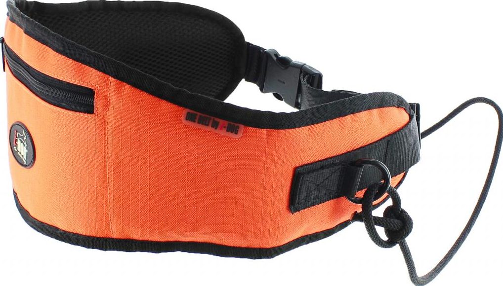 i dog canyon belt