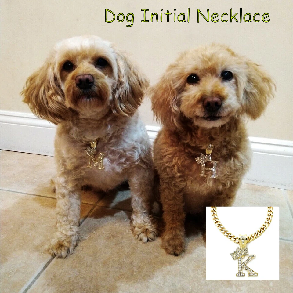 Dije de letra inicial cadena de perro cubano collar de mascota cadena mascota, gato, cachorro collar Foto 4 de 4