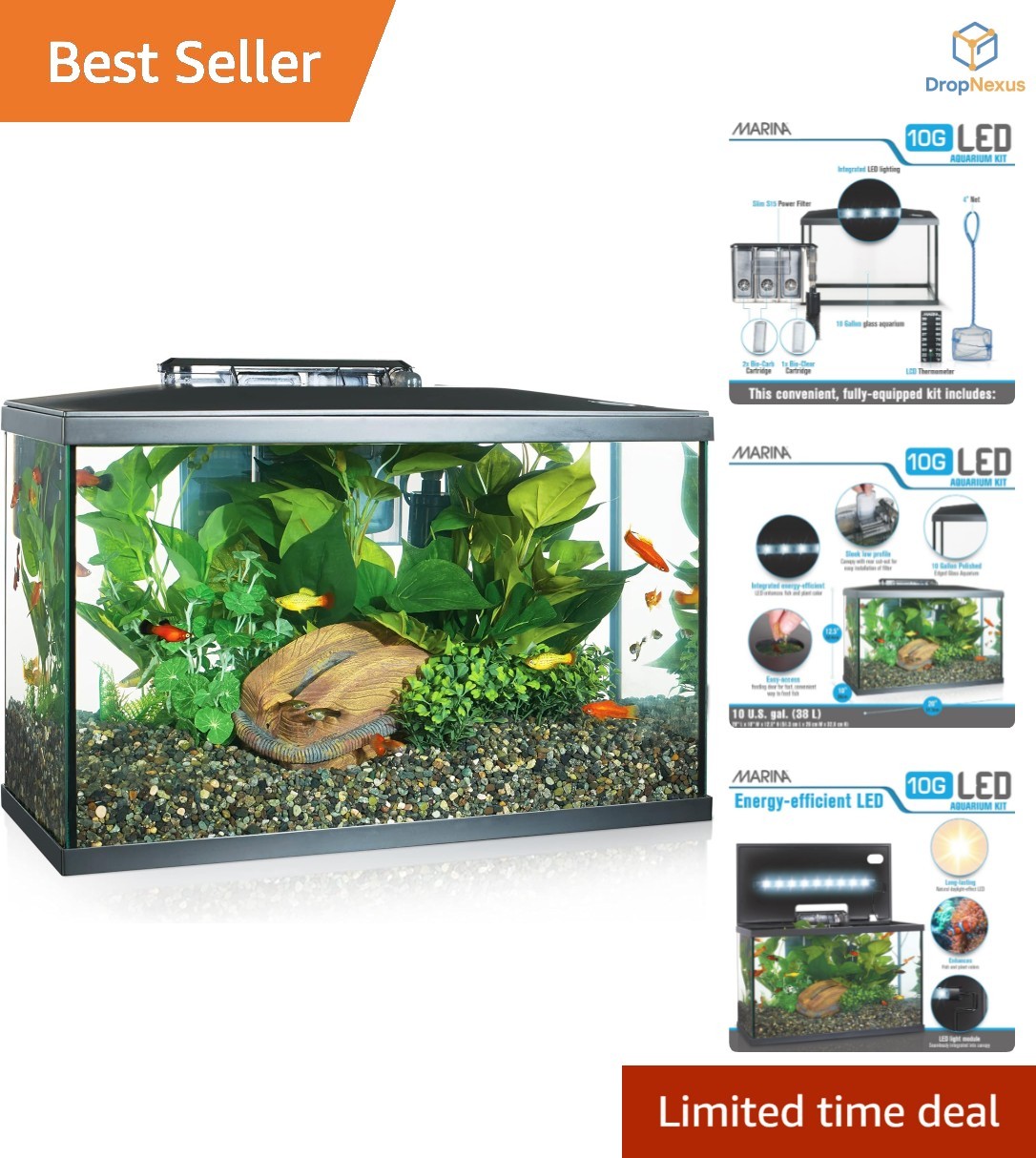Best Aquarium Starter Kits for Beginners: Top Picks for Easy Setup