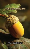 Thor Castlebury | The Pursuit Of Purpose | Taschenbuch | Englisch (2024)