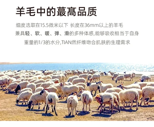 Primavera y Otoño Para Mujer Cárdigan Suéter de Cachemira Elegante Top Suéter Abrigos - Imagen 21 de 39