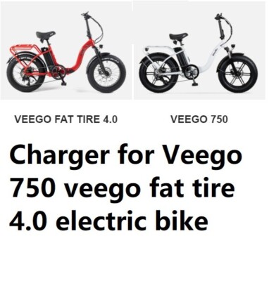 Veego 750 Veego E Bikes Semi-Fat