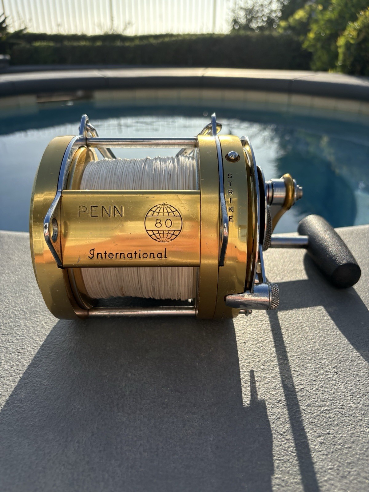 Penn International 80 - 2 Speed