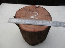 YEW log exotic  hardwoods,nativewood  ,for  spindle turning/pen blank/inserts