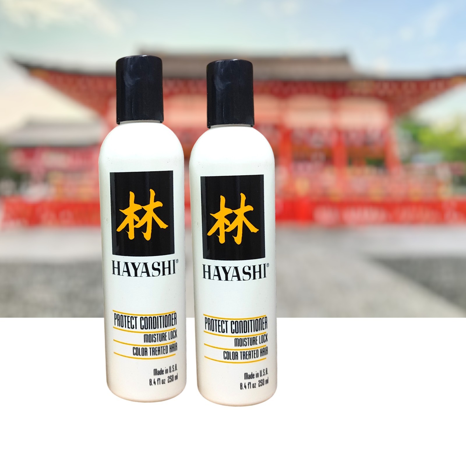 2 x HAYASHI PROTECT CONDITIONER УВЛАЖНЯЮЩИЙ КОНДИЦИОНЕР ДЛЯ ОКРАШЕННЫХ ВОЛОС 8,4 унции