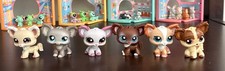 Littlest Pet Shop Chihuahua Dog Puppy LOT Of 6 LPS Authentic