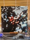 Pink Floyd, Obscured By Clouds, 1982 1st Harvest, ST-11078, VG+/VG+
