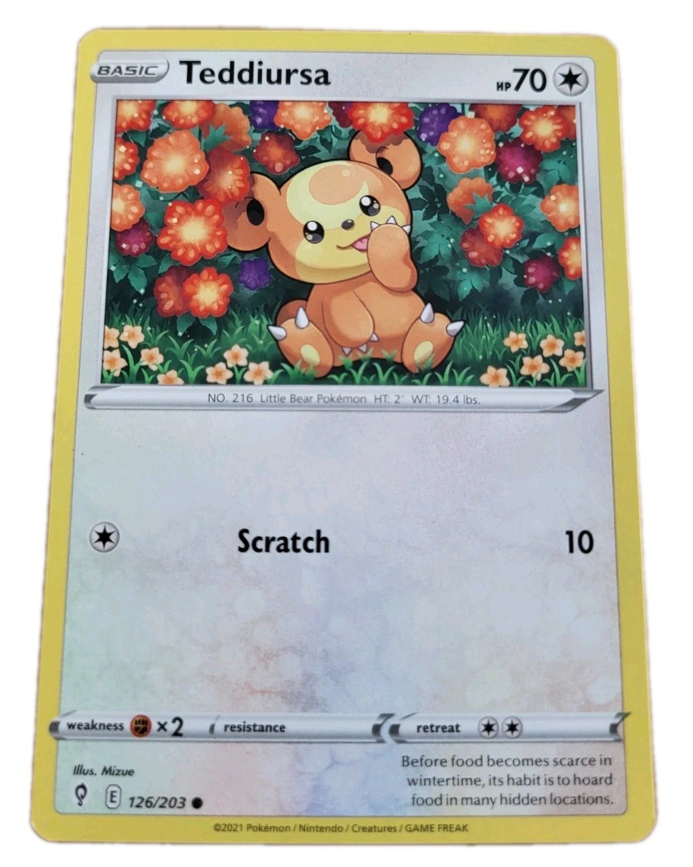 Teddiursa 126/203 Common Pokemon Trading Card TCG (F9