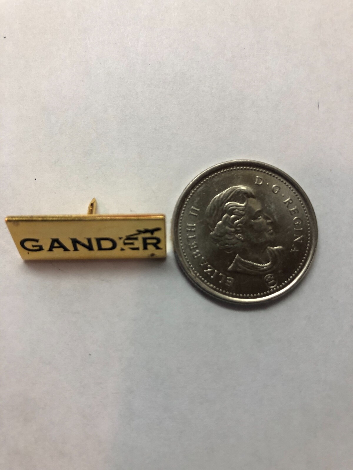 GANDER, NEWFOUNDLAND AIRPORT LAPEL PIN eBay