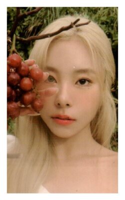 MAMAMOO WHEEIN IN THE MOOD Album POCA VER Official PHOTOCARD PHOTO