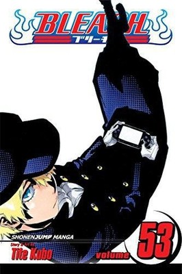 Bleach, Vol. 53: The Deathberry Returns 2: Volume 53 - Kubo, Tite