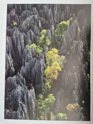 Lonely Planet Beautiful World Print Tsingy de Bemaraha nature Reserve Madagascar