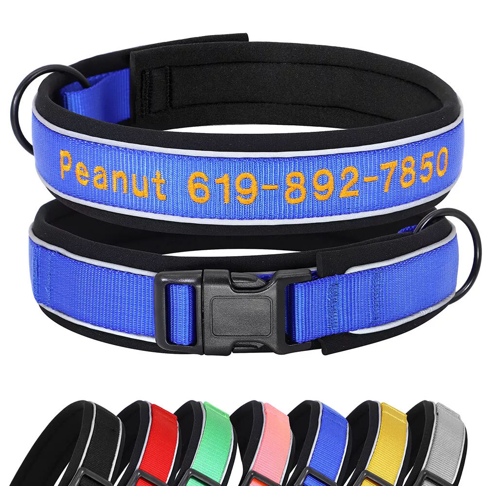 Named dog sale collars