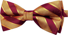 Silk Bow Ties for Men Striped Pre-tied Adjustable Bowties Woven Jacquard Formal