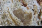 Ocean Jasper  Slab - 625 Grams - Thick - Lapidary - Cabs - Collector — photo 9
