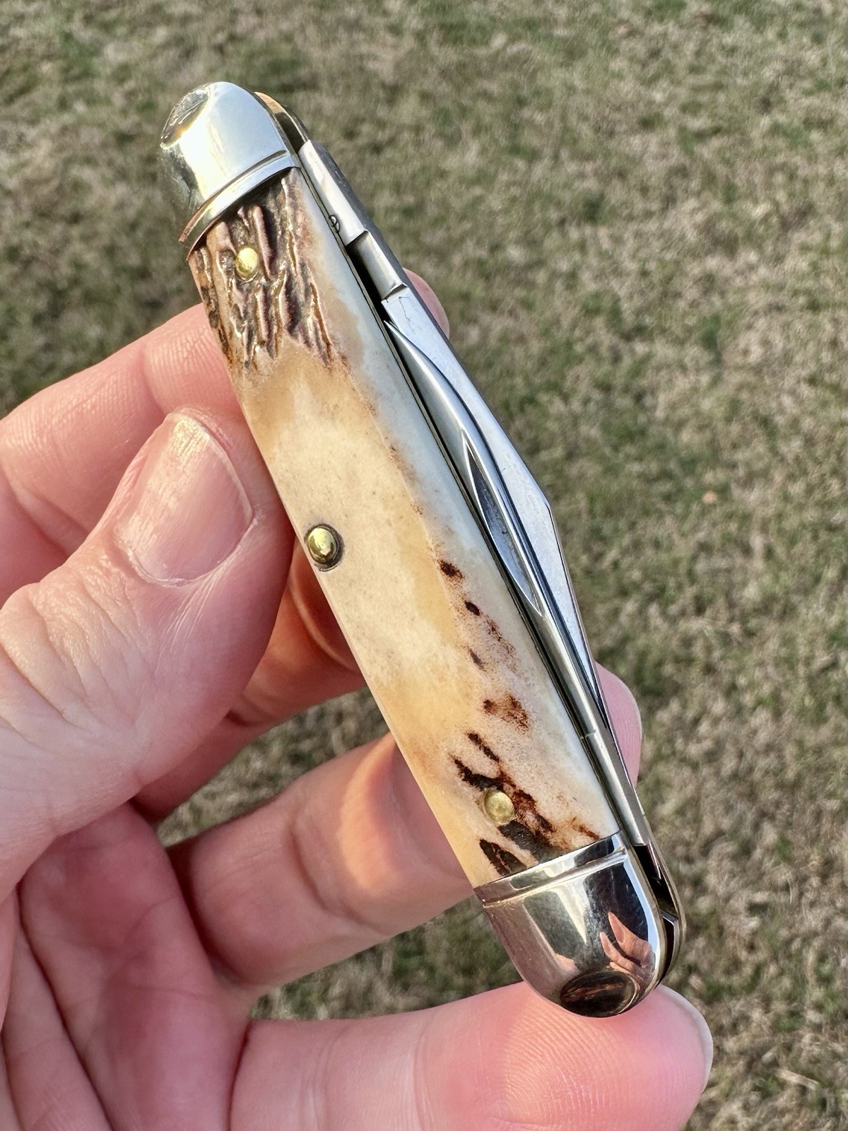 NEW Great Eastern Cutlery 68 White Owl 681221 Slab Side Cut Sambar Stag GEC