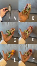 Metal Claw Hair Clips LOT Gold, Silver, Flower, Butterfly, Fairy, Farm,or Bow