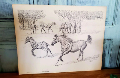 Western D. Putt  Offset Lithographic Print by Enns /USA/ Western/  Happy Horses