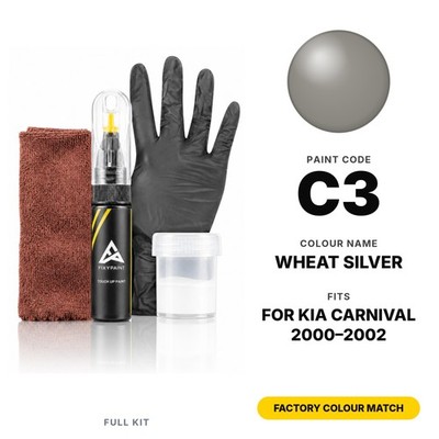 Touch Up Paint For Kia Carnival C3 Wheat Silver Full Kit Factory Colour Match
