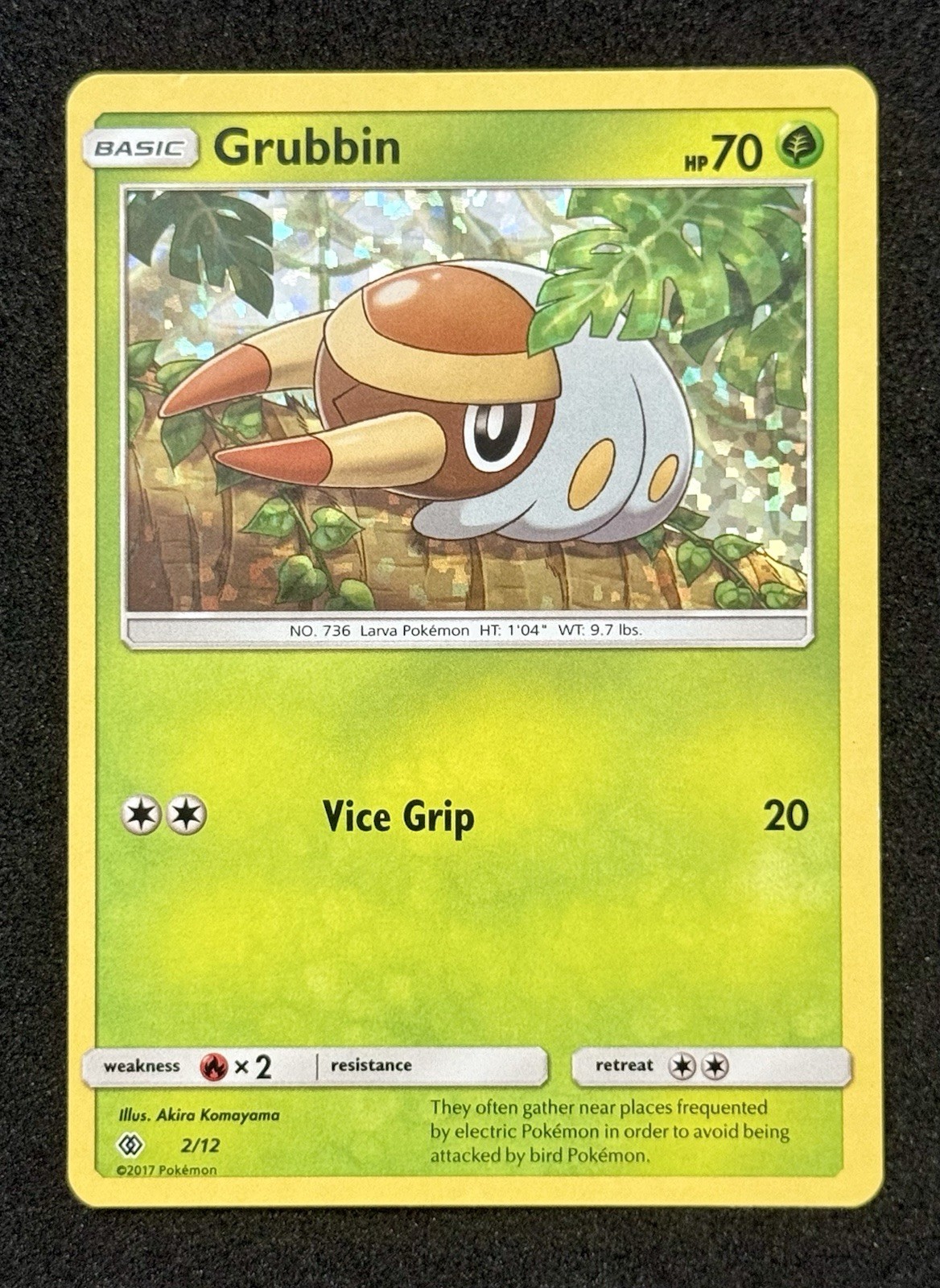 Grubbin - 2/12 002/012 McDonald's Promos 2017 Promo Holo Pokemon TCG LP
