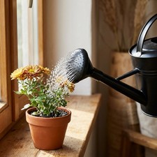 Praktische Gie&szlig;kannenbrause f&uuml;r schonendes Pflanzenw&auml;ssern