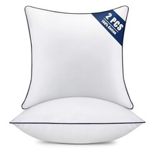 Throw Pillow Inserts Set of 2-Fluffy Square 18x18 Inch Pack of 2 -Blue Edge