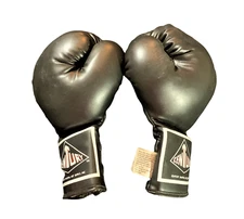 Century Martial Arts Supply 14 oz Adult Sparring Gloves