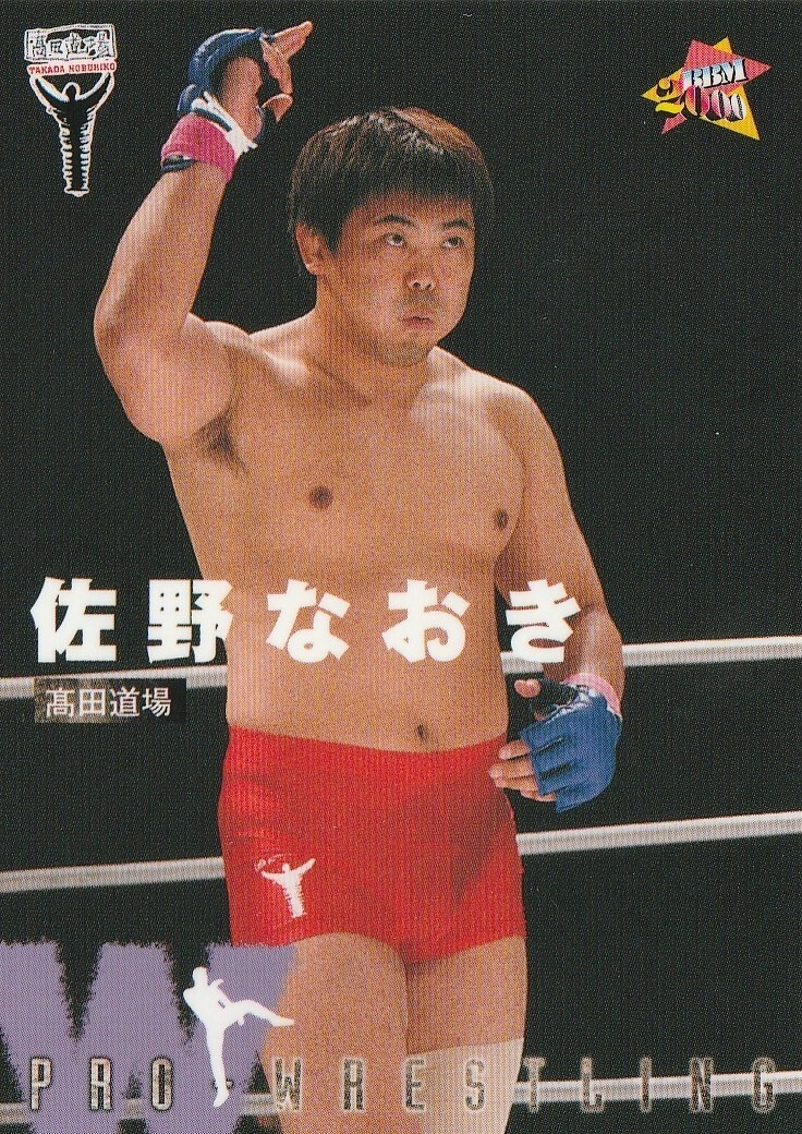 Naoki Sano 2000 BBM Pro Wrestling #188 | eBay