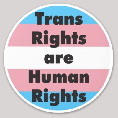 #ad TRANS RIGHTS ARE HUMAN RIGHTS bumper sticker decal laptop lgbtq $2.65