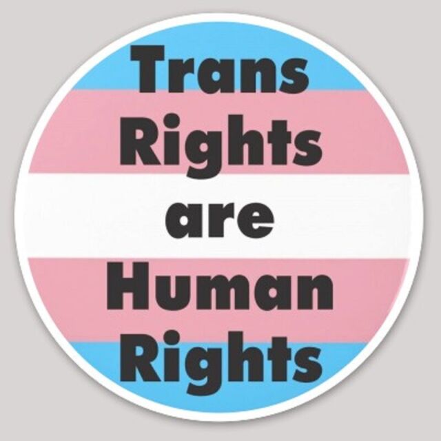 TRANS RIGHTS ARE HUMAN RIGHTS bumper sticker decal laptop lgbtq