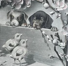 pc Dog Dachshund Dackel and friend watching chicks vtg Easter pc